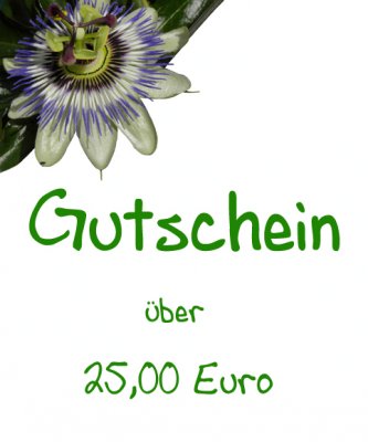 Gutschein - 25,00 Euro -
