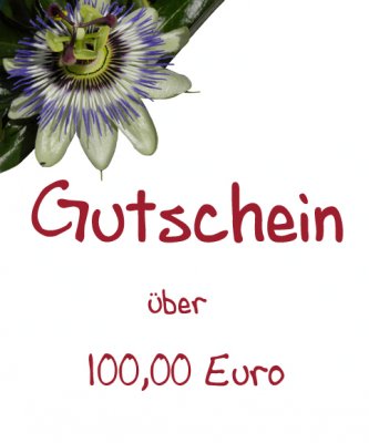 Gutschein - 100,00 Euro -